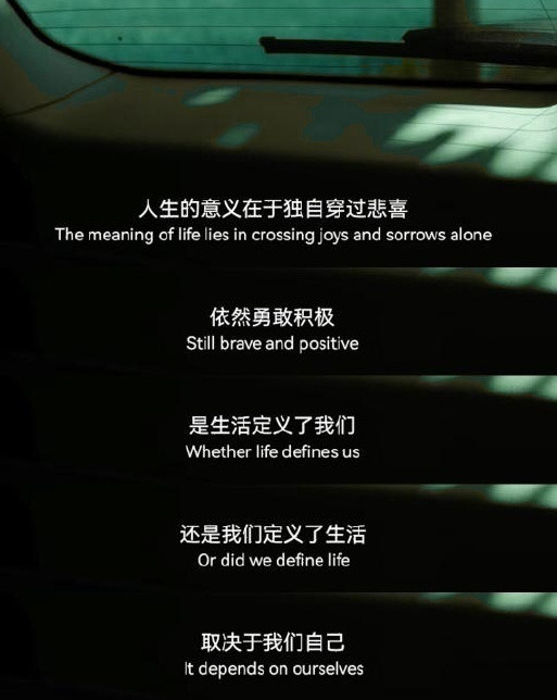 人生的意义在于独自穿过悲喜，依然勇敢积极，是生活定义了我们，还是我们定义了生活，