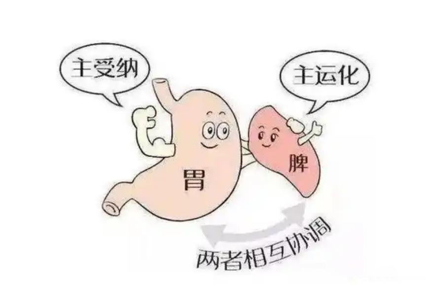 化瘀的尽头，其实是补阳！一味猛活血，只会越活越虚！大家好，我是中医陈大夫。提