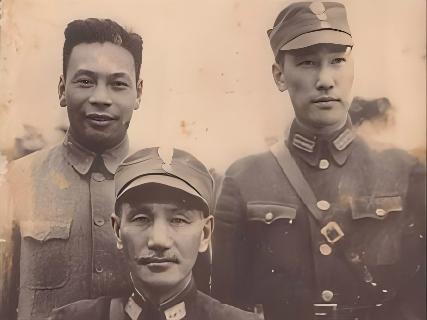 1994年，蒋纬国曾说：“蒋介石在四五岁时，误将取暖夹炉当成板凳，臀部与阴囊严重