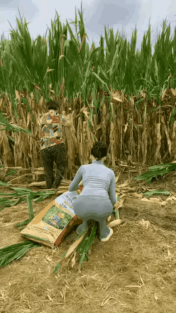 儿媳妇想在婆婆面前表现一番，可惜心有余而力不足。儿媳妇的精神还是可嘉的，给予大大