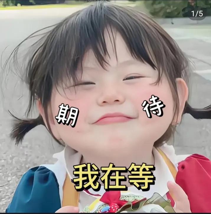 全红婵十五运首秀终于要来了！但刚蹲到赛程就发现个大变动之前说好要比的单人10