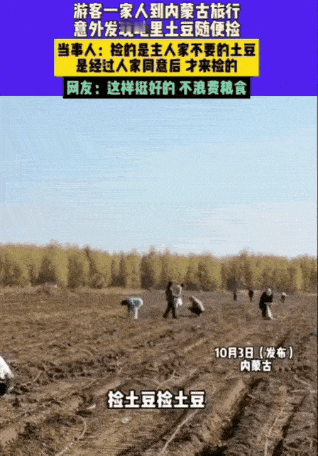 男子一家去内蒙古icon旅行，意外发现路边地里有很多土豆，于是跑到地里去捡，而主