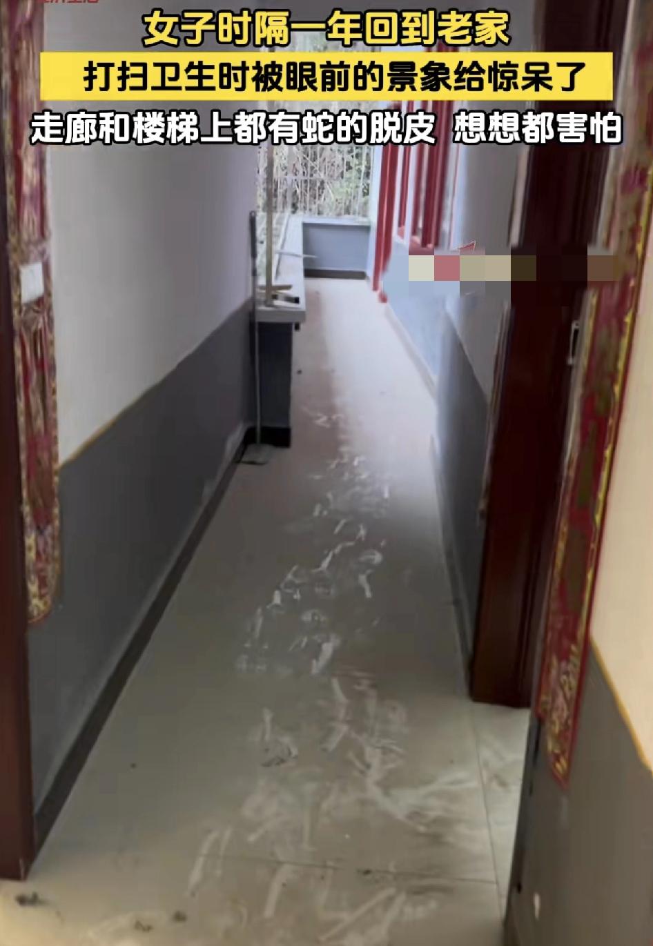 湖北恩施一女子时隔一年回到老家打扫卫生时，发现有不少的蛇皮，瞬间不淡定了，现在也