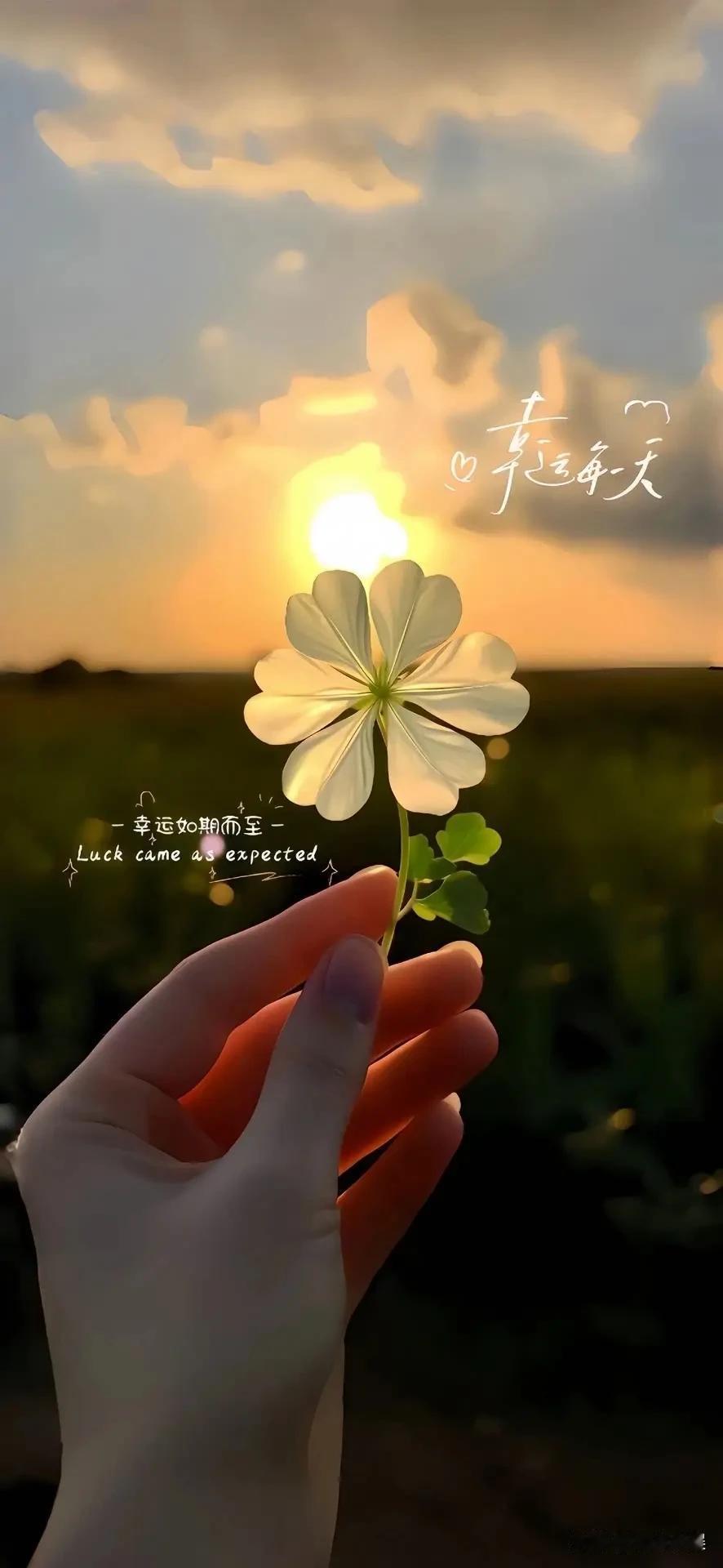 跟小区的人一定要能少说话就少说话，都不熟是最好了！一旦开始搭过茬、说过话，以后