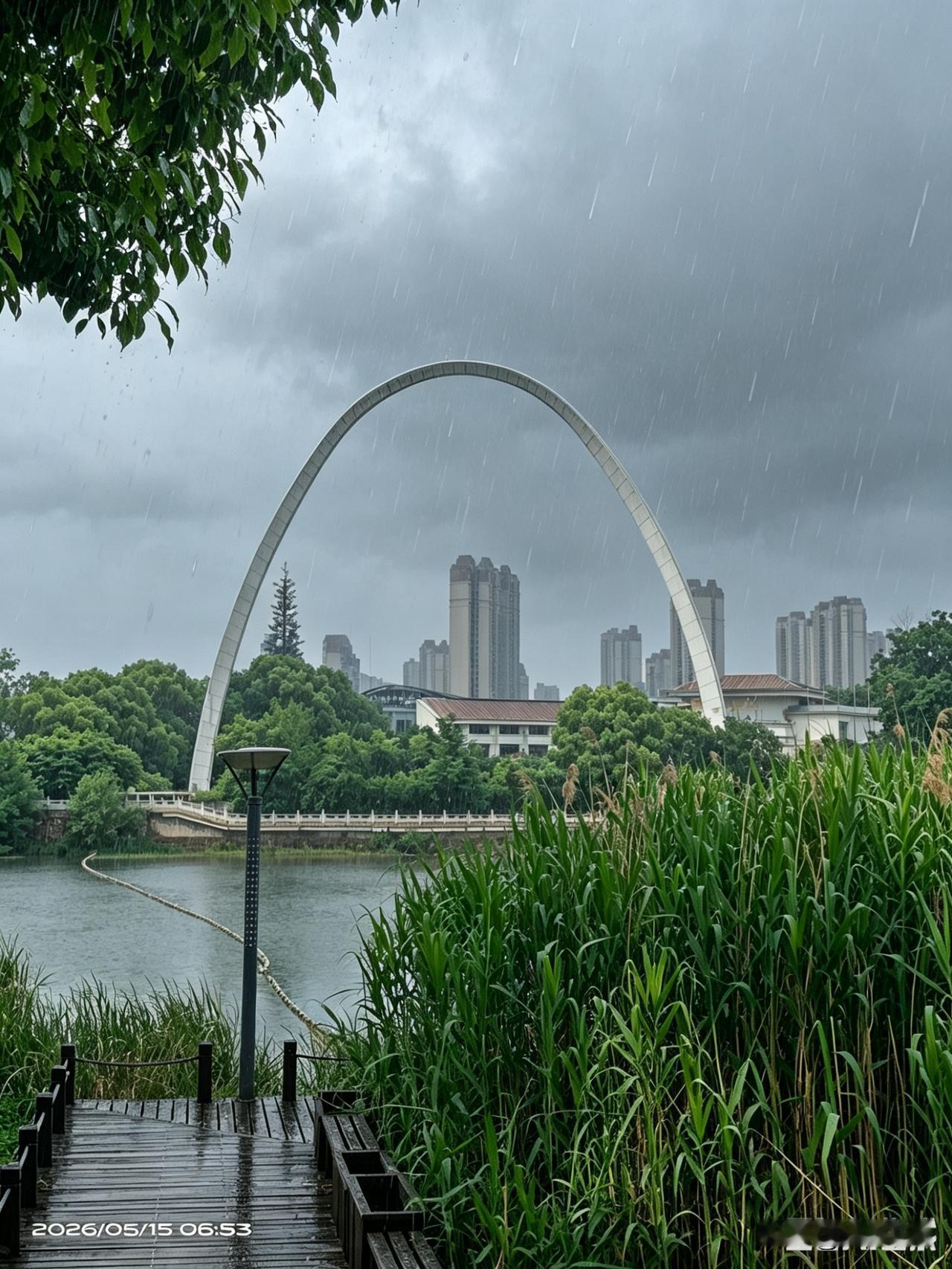 连绵细雨漫洒洋澜湖，烟雨朦胧湖光含韵，一湖诗意醉尽一城风光！
