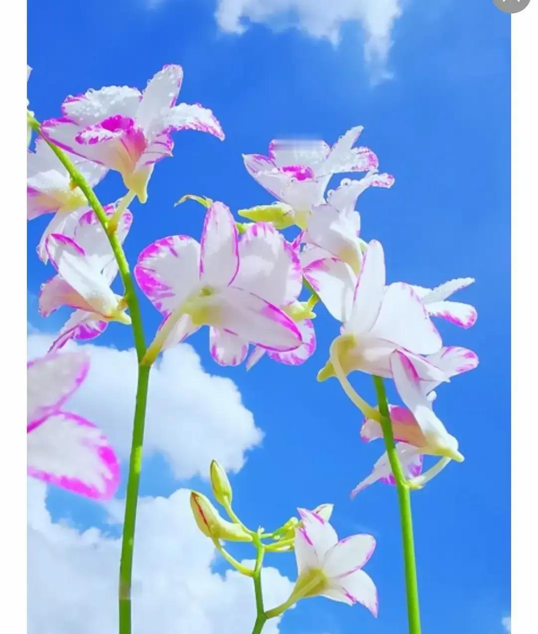 体制内退休的老王又攒局，说“咱们得常聚”，饭店订得挺快，群里吆喝也响。一年三四