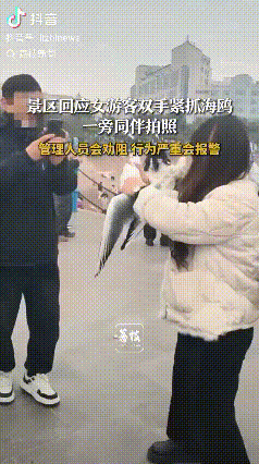 “景区应该拉黑她”！山东青岛，景区一女游客双手紧抓着一只海鸥，然后让一旁同伴拍照