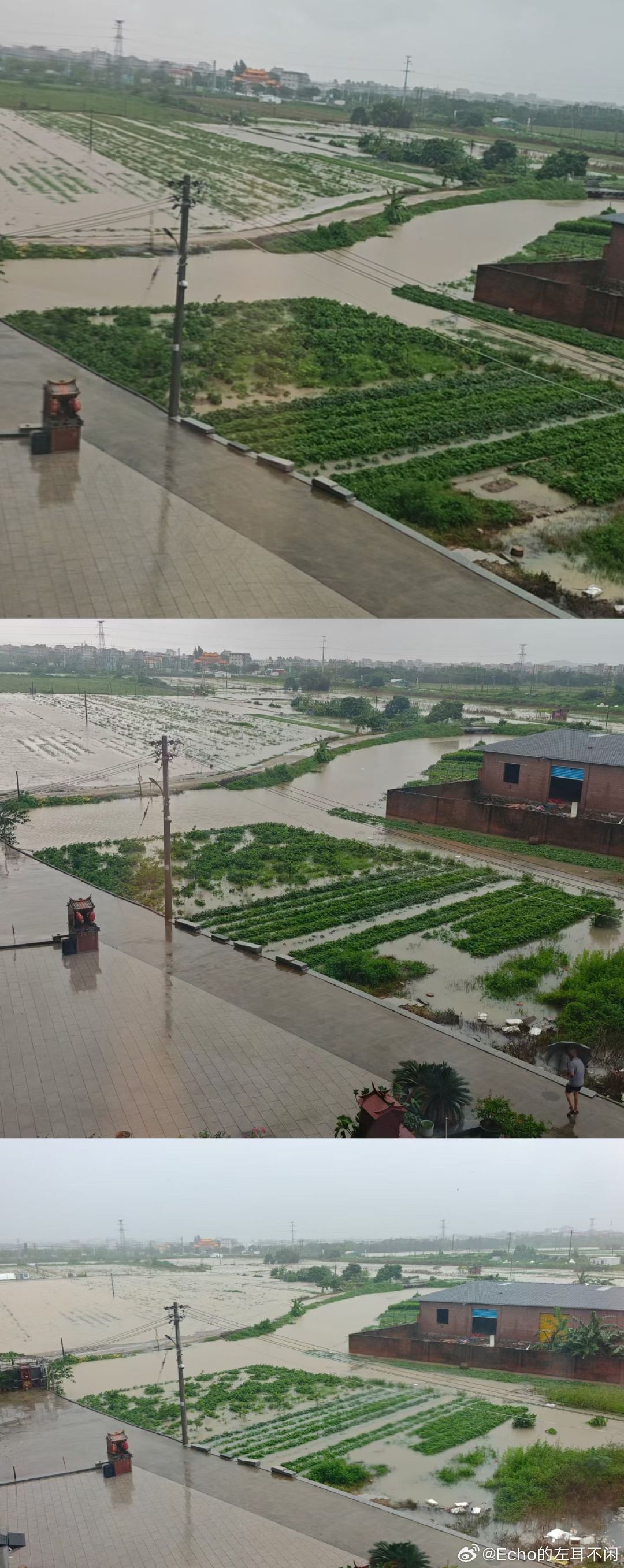 #福建洪水内涝持续#又是一整夜大雨很多地方淹的几乎看不见了闽B真的不需要雨水了每年都台风每年到处都发