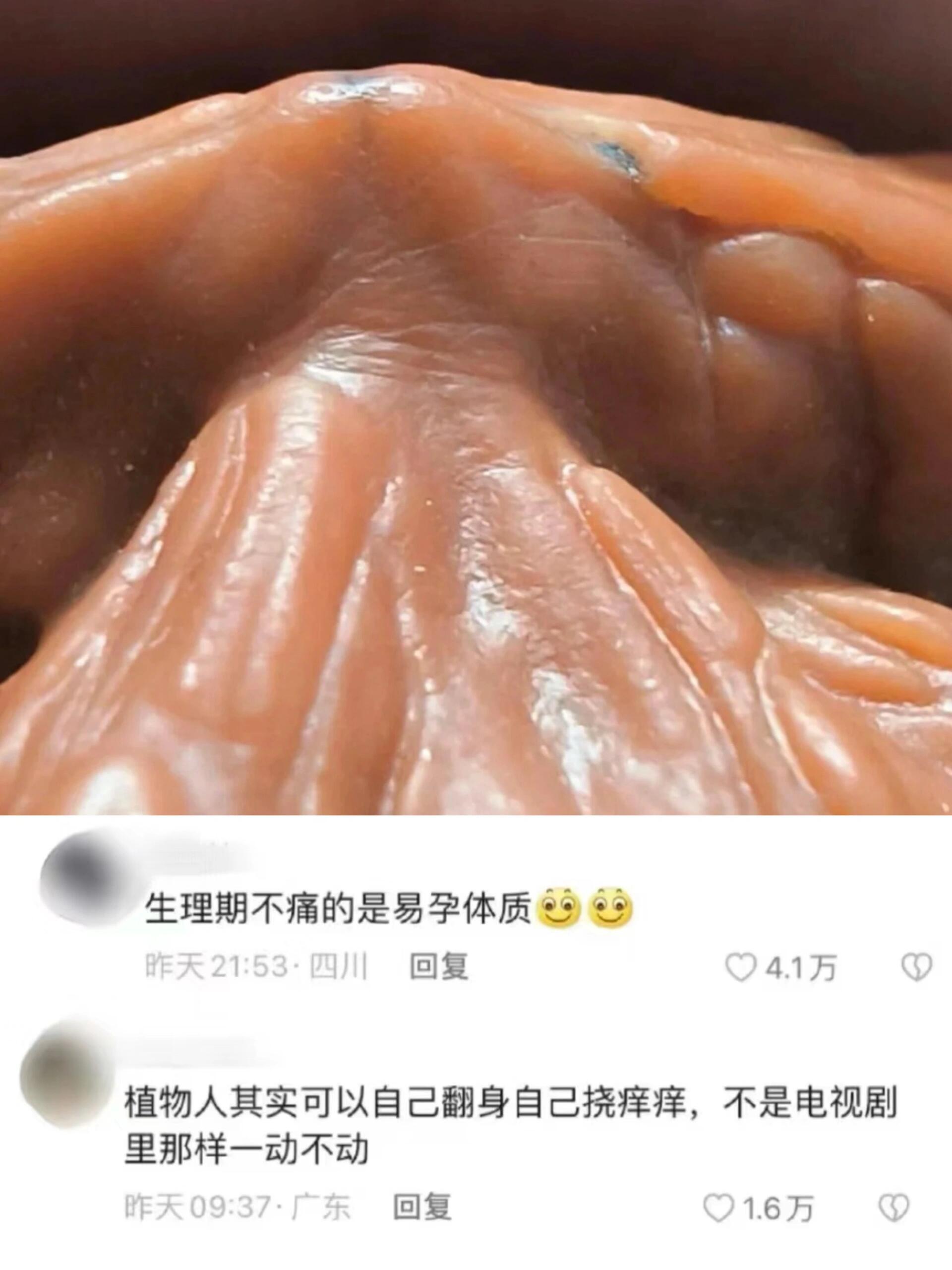 收集大家不知道的一些人体冷知识