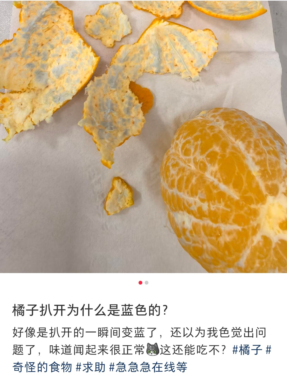 橘子扒开为什么是蓝色的?