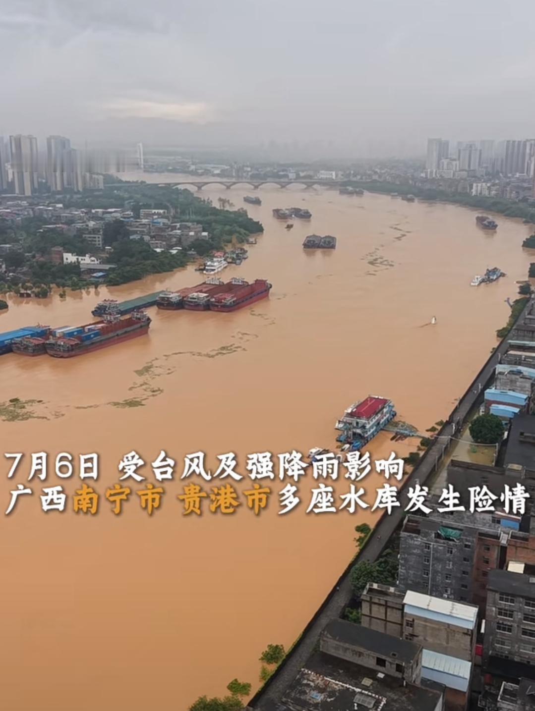 广西洪水冲垮养殖场，900条毒蛇出逃！万一被咬伤，千万不要用嘴吸毒……7月6