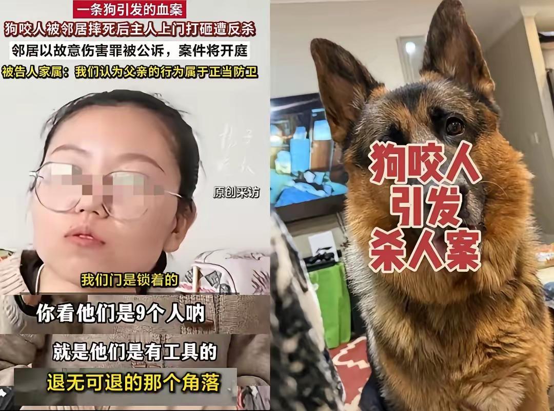 我们小区有住户养了几只大型犬，黑色的，有一家是养了两条，非常吓人。每次我带着小