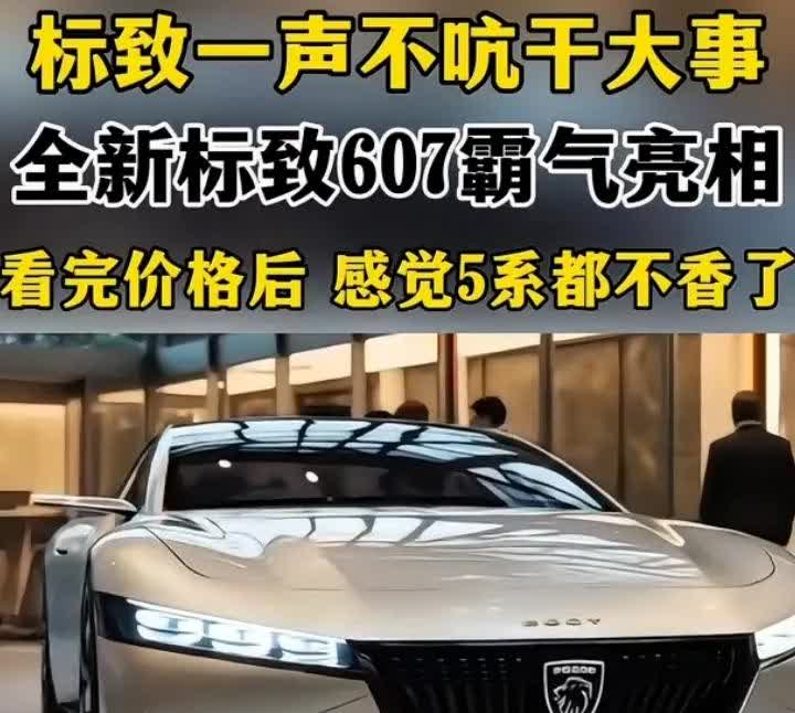 全新标致607霸气亮相