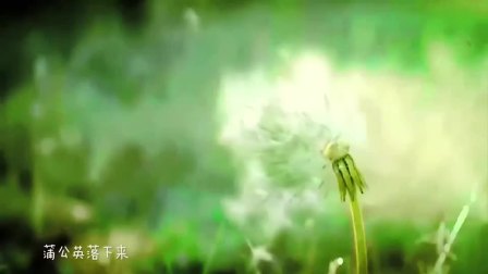 陪你去看草原简谱_陪你一起看草原简谱