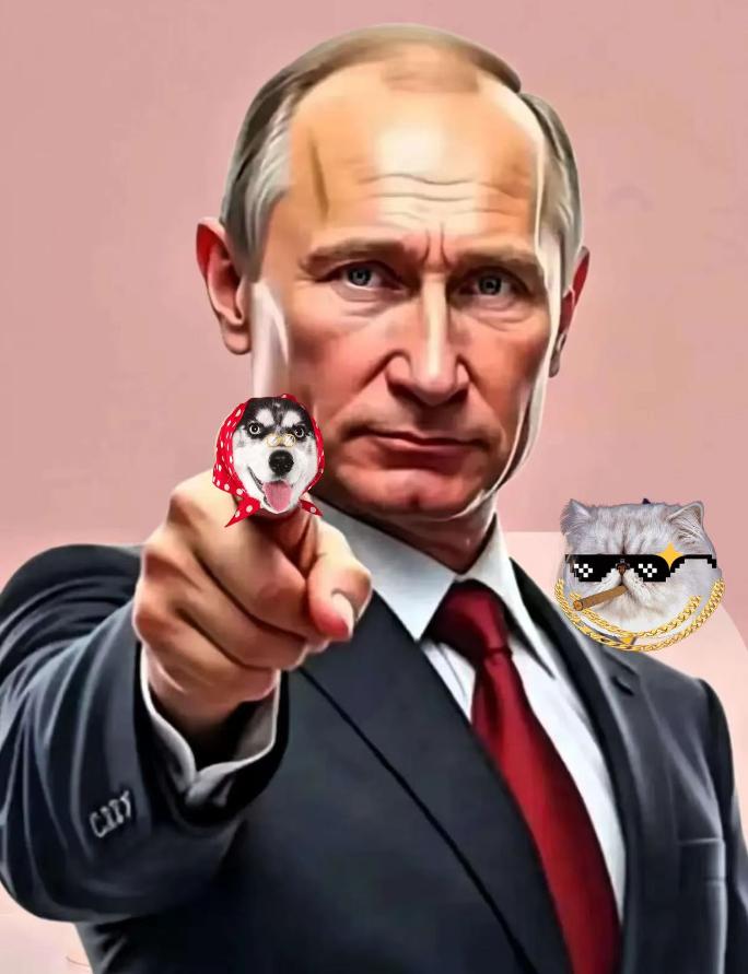 果然被猜中了10月31日俄罗斯总统普京宣布！俄罗斯国防部当地时间10月30日