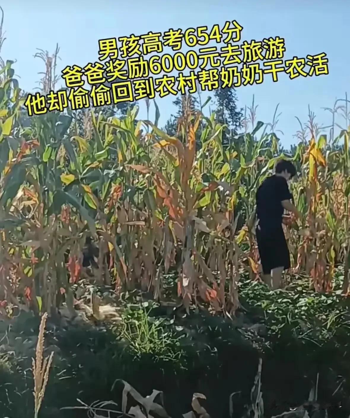 这样的孩子真是太难得了！男孩高考考了654分，爸爸奖励他6000元去旅游，但他