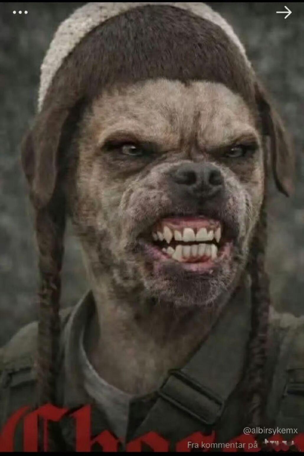 犹太复国主义分子看起来确实像鬣狗