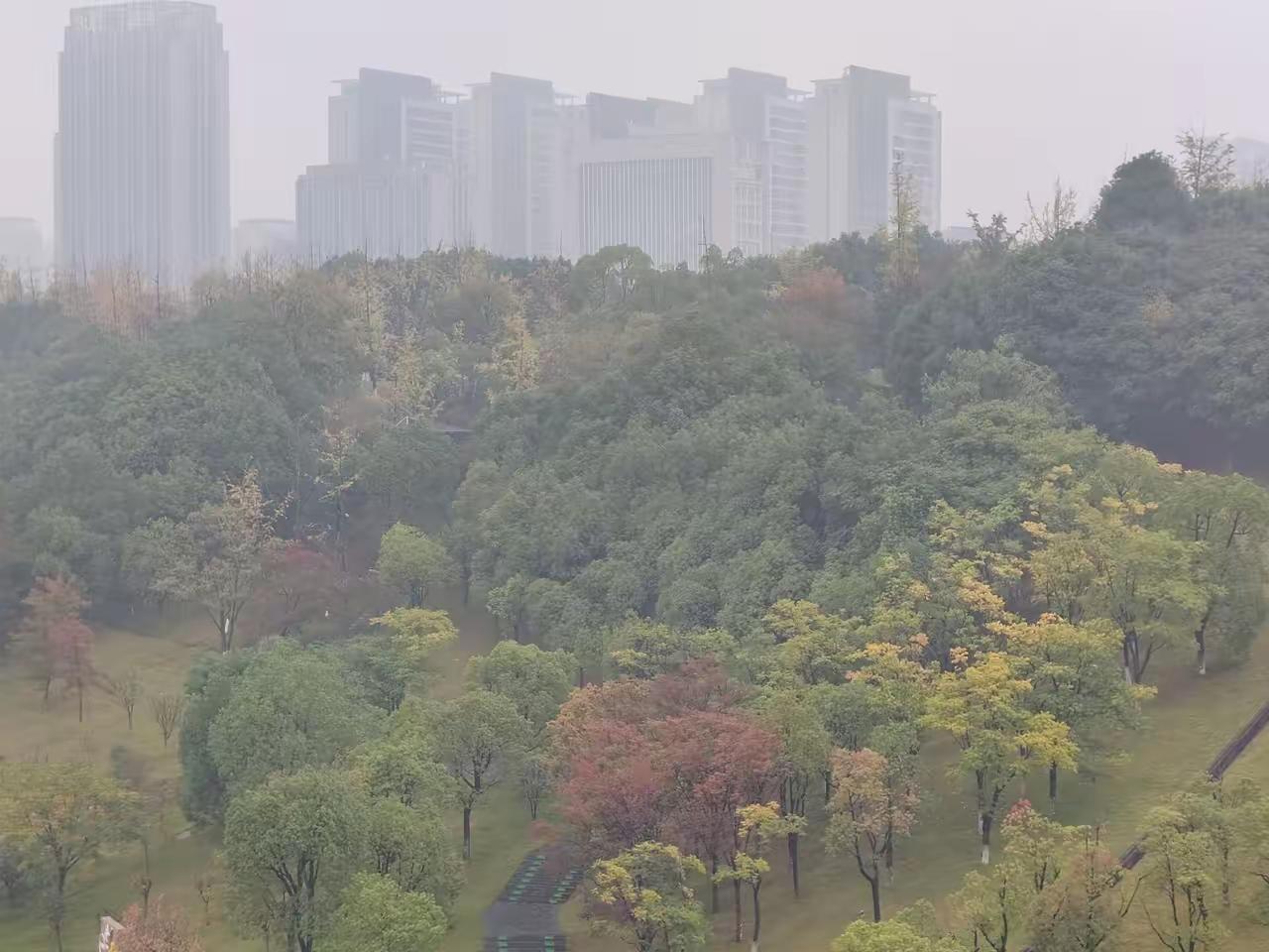 实体店的春天终于要来了！满大街的商铺，空荡荡的，看得人心里拔凉拔凉的。大家说