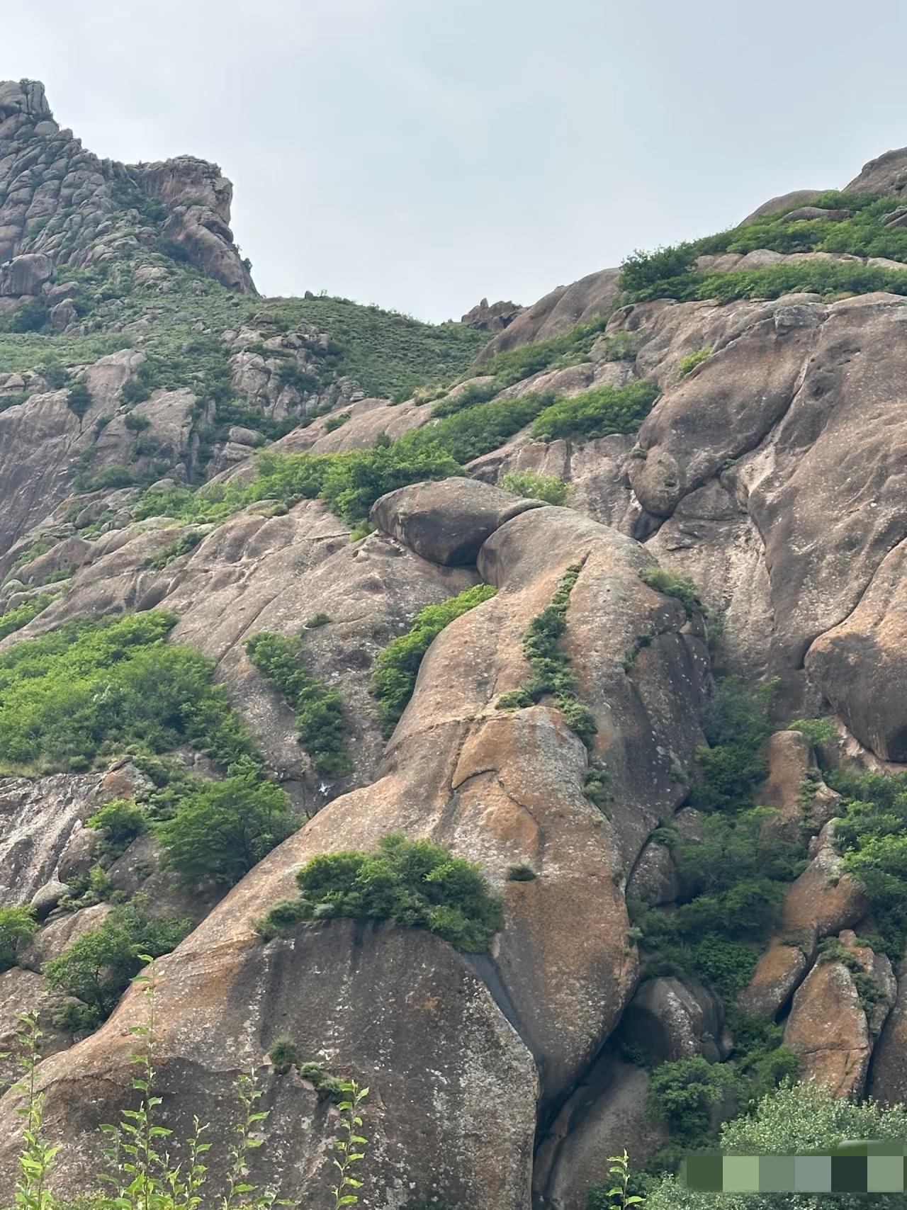 听说这是要去石棺吃人被道士劈了[捂脸哭][捂脸哭]