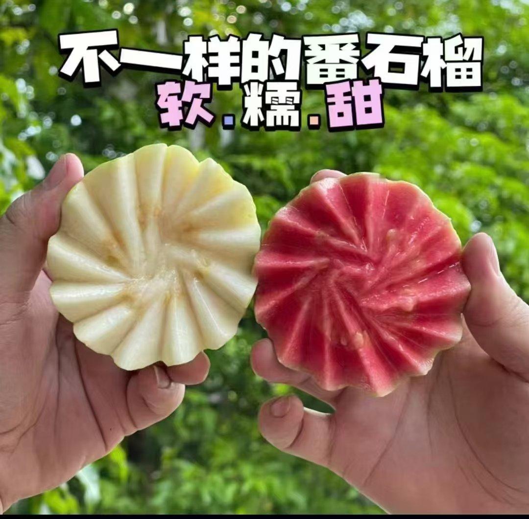 这个芭乐终于又上线了，口味清甜香气浓郁，口感软糯似奶油丝滑似冰淇淋，又被广大网友