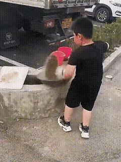 大家说说俺侄儿今后走什么赛道？