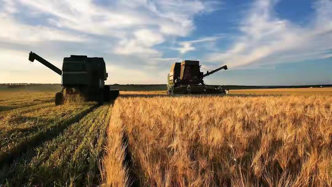 ​中国已经成功地解决了美国的难题，解决大豆难销的燃眉之急，将恢复对大豆的重新购买
