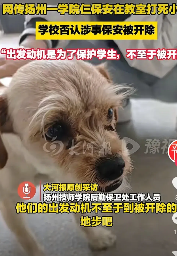 事发江苏杨州5月7号，网传杨州技师学院里，一只流浪狗窜入教室。该校三名保安为
