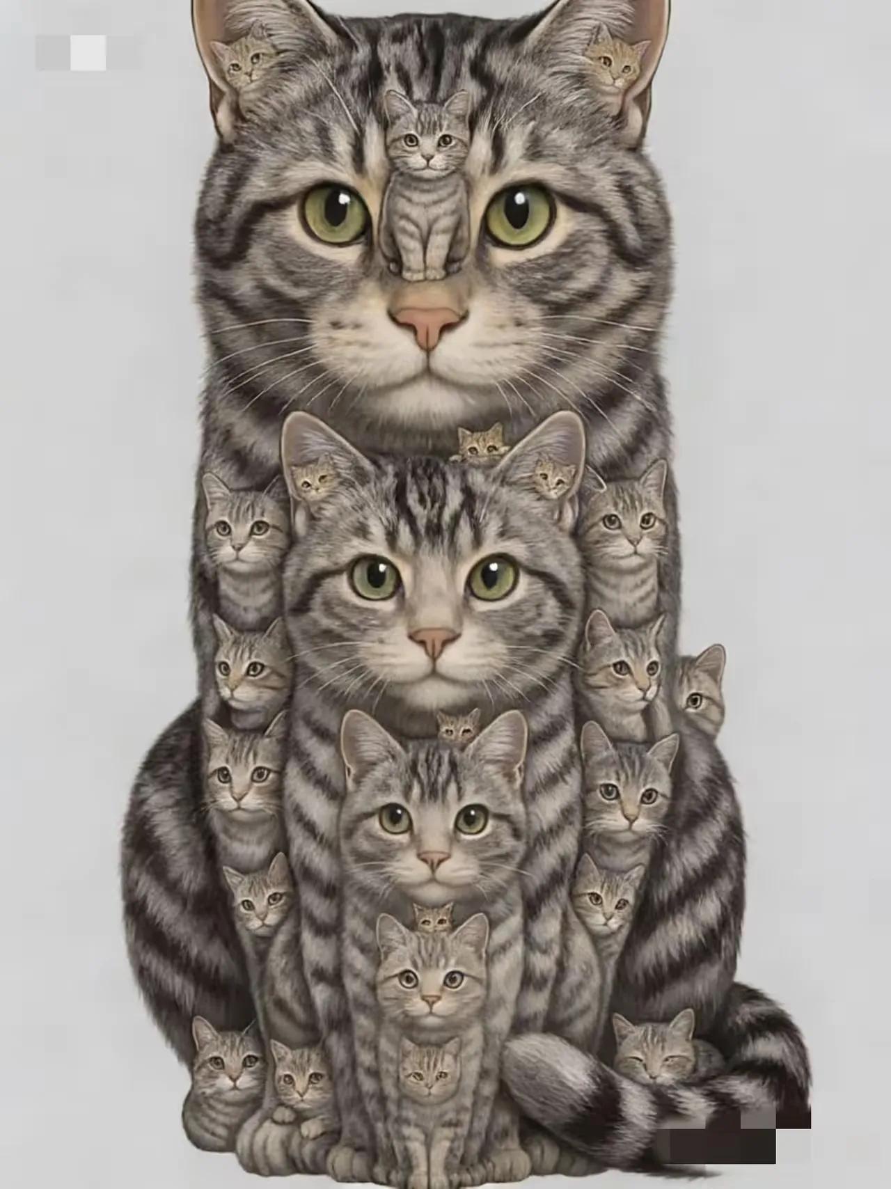 大家数数这里面有多少只猫咪啊！根本数不清以上仅供参考，属个人意见！