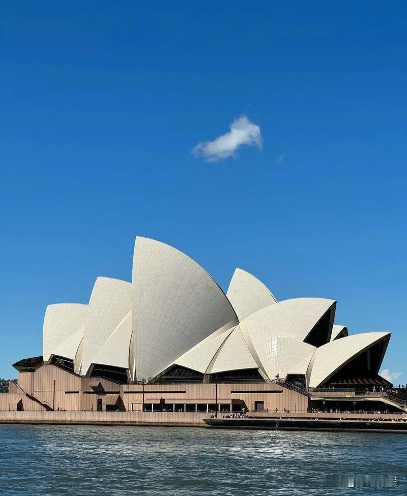 恐华症正在摧毁澳大利亚！澳大利亚“珍珠与刺激”网站发文直言：恐华情绪已成国