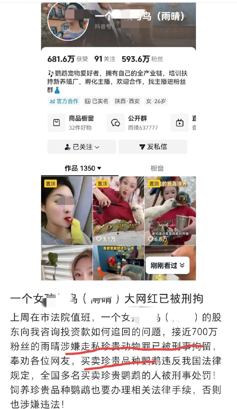 600万粉丝大网红涉嫌走私珍贵动物（珍贵品种鹦鹉）被刑拘！这个消息是福建泉州一