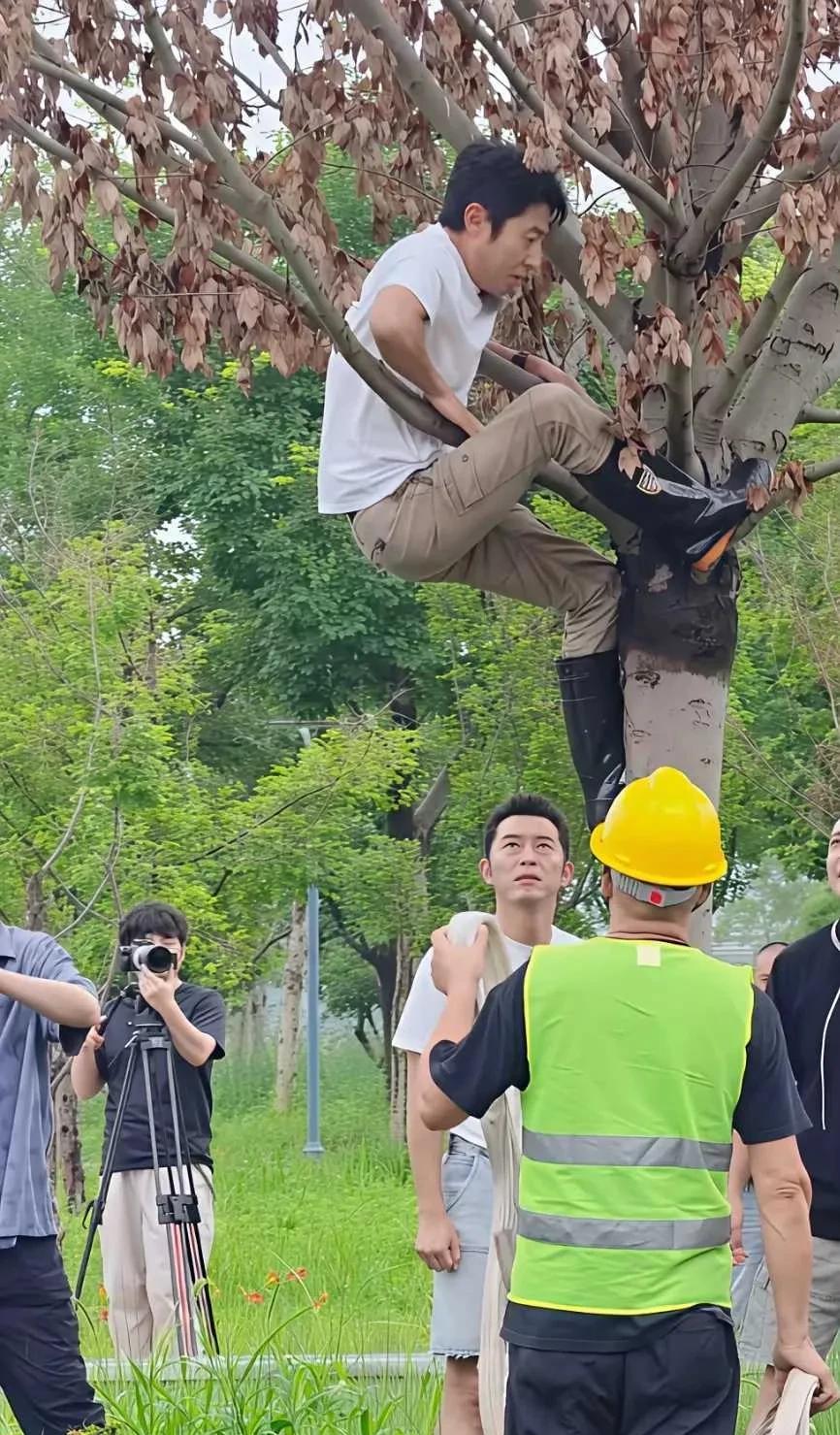 撒贝宁竟然爬树了，真是够拼的了呀，把下边的沙溢，尼格买提都已经惊呆了。撒贝宁也