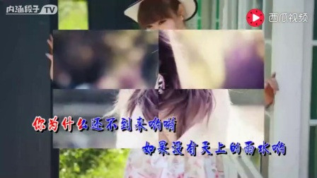 串烧【经典老歌】+降央卓玛-驼铃+-红梅赞-一