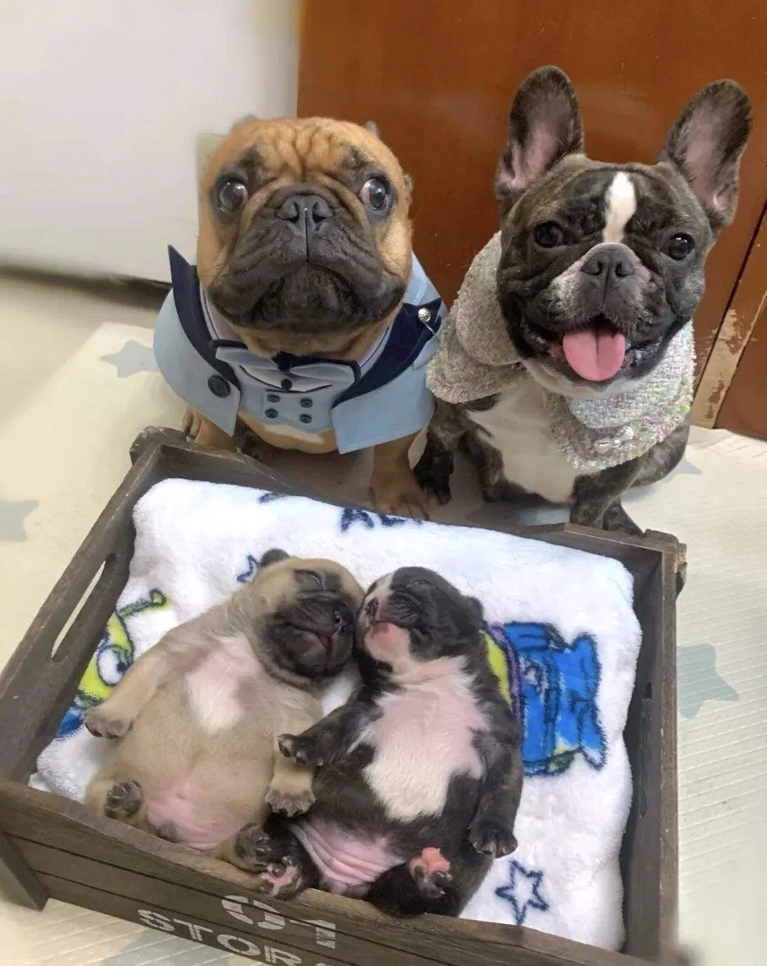 解离（Dissociation） 本质是大脑面对无法承受的痛苦/压力时...