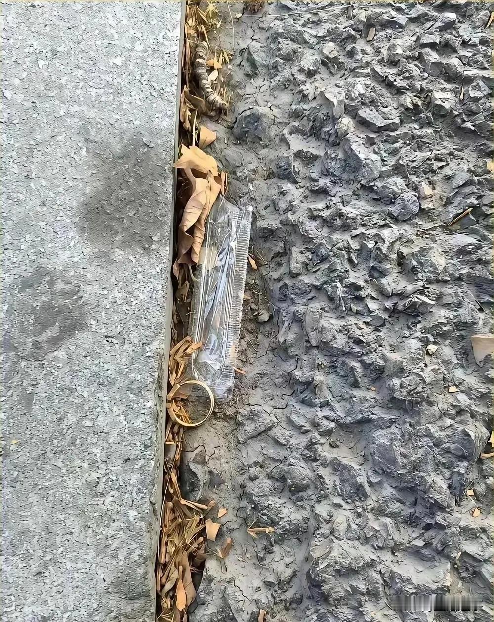 要不要捡