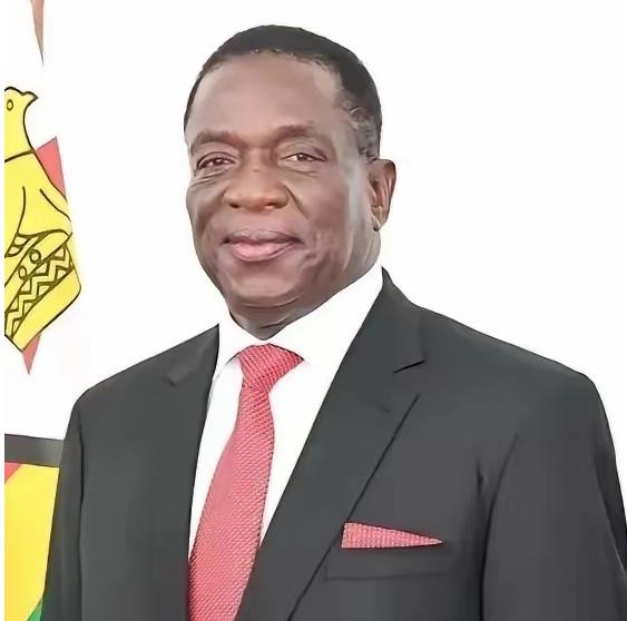 谁能想到，把全球锂市搅得天翻地覆的津巴布韦，刚硬刚了一个多月，就突然换了牌路！