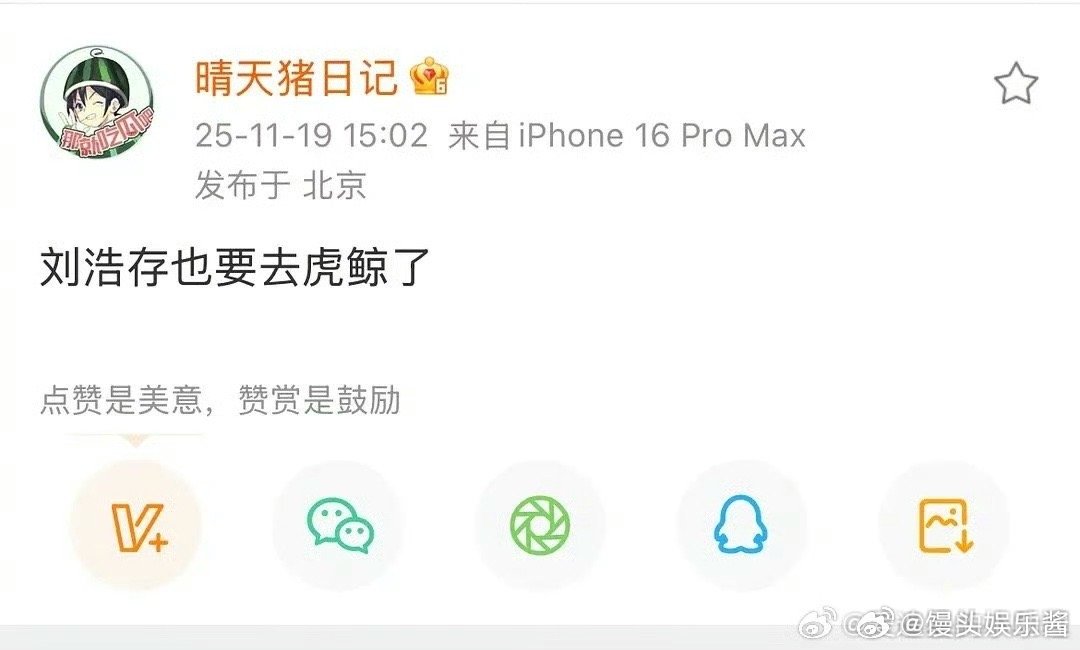 刘浩存和赵露思要当同事了