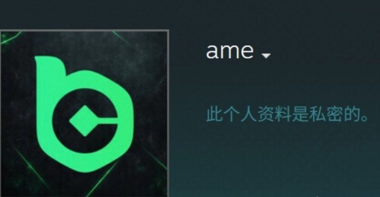 惺惺相惜传奇CS选手s1mple把Steam ID改为了ame 并打了排位