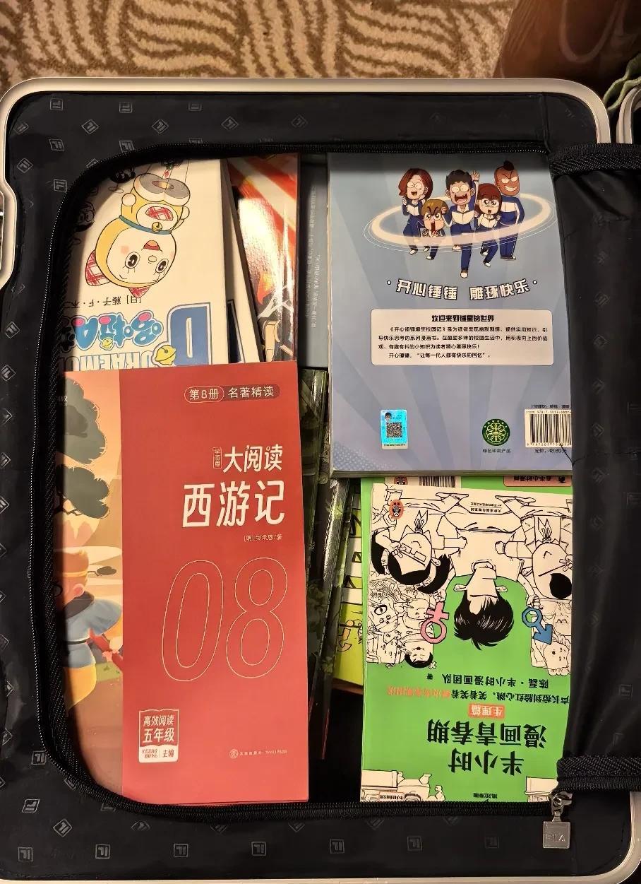邮轮游之——读书外孙自己拖了一个行李箱，按我的理解，里头应该是几件换洗衣服和一