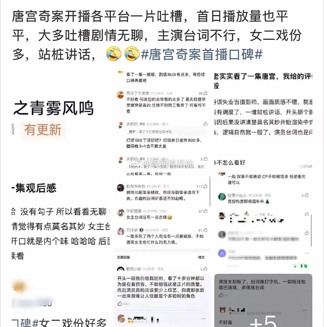 白鹿那部《唐宫奇案》被吐槽了，有观众认为女二赵晴戏份太多。觉得《唐宫》本就是欢娱