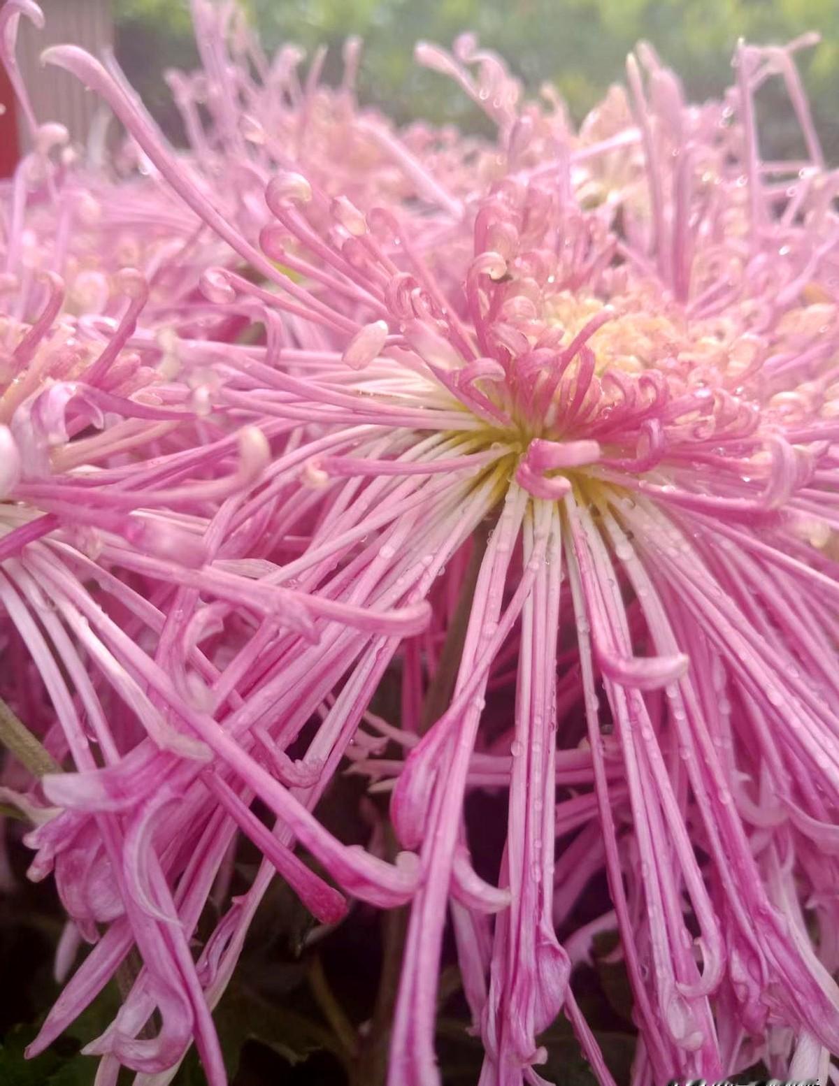 有一个女孩，和男孩子一起去买婚房。女方母亲提出只写女孩一个人的名字。男孩也