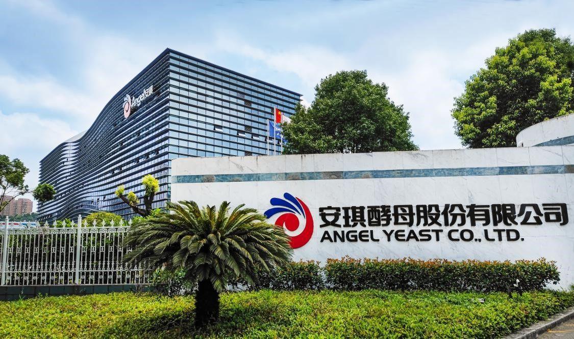 宜昌这家企业真厉害，半年纯挣8亿多！安琪酵母2026年上半年净利润达8.81亿