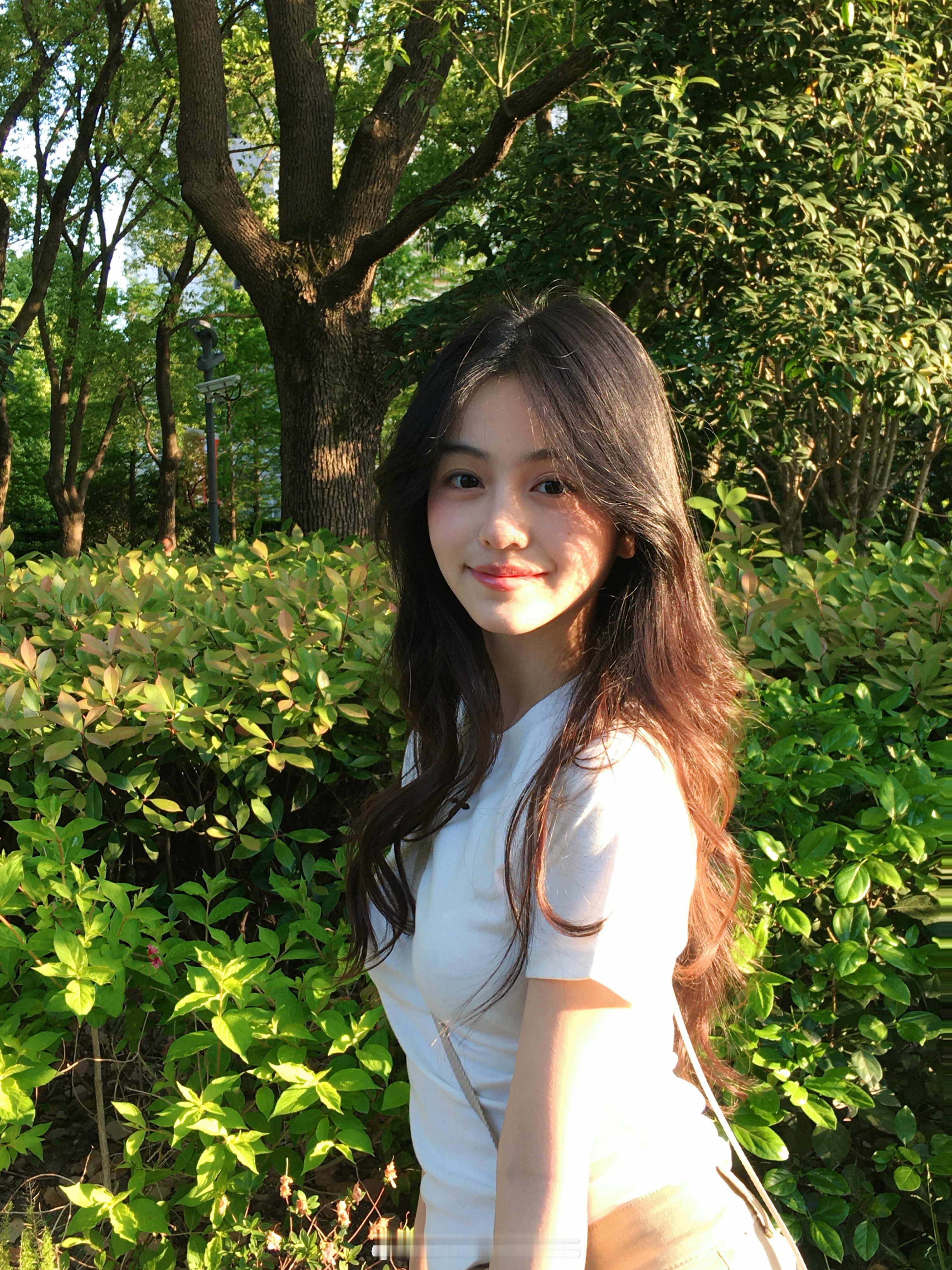 绿色是我的代表色​​​