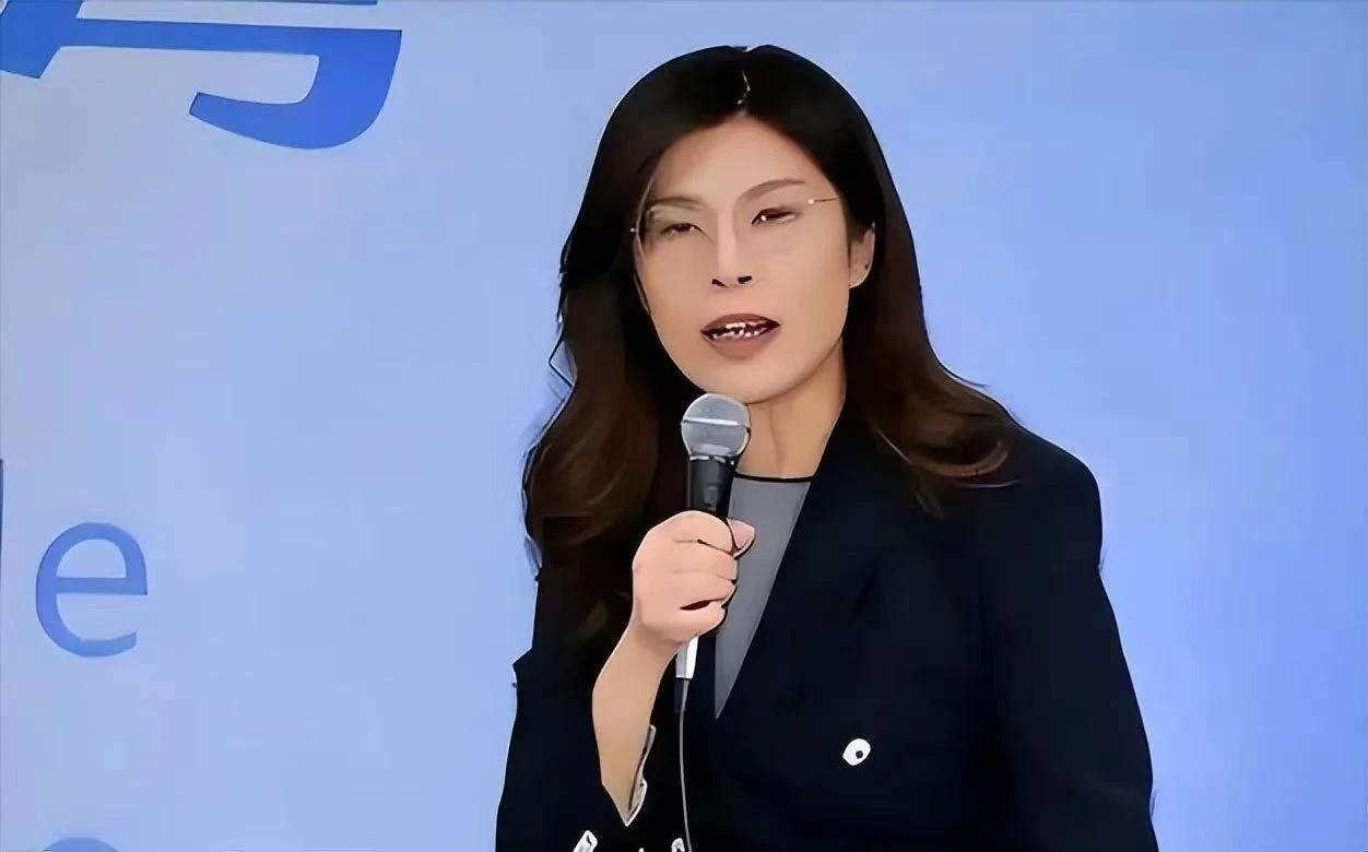 郑丽文返台发表讲话，民众党突然露馅了，不简单日前，国民党主席郑丽文一行人已