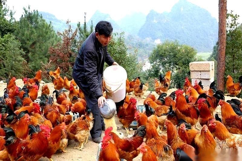 黄一鸣算是把那层窗户纸，直接用手捅破了。以前大家心照不宣，你送包，我陪笑，资源