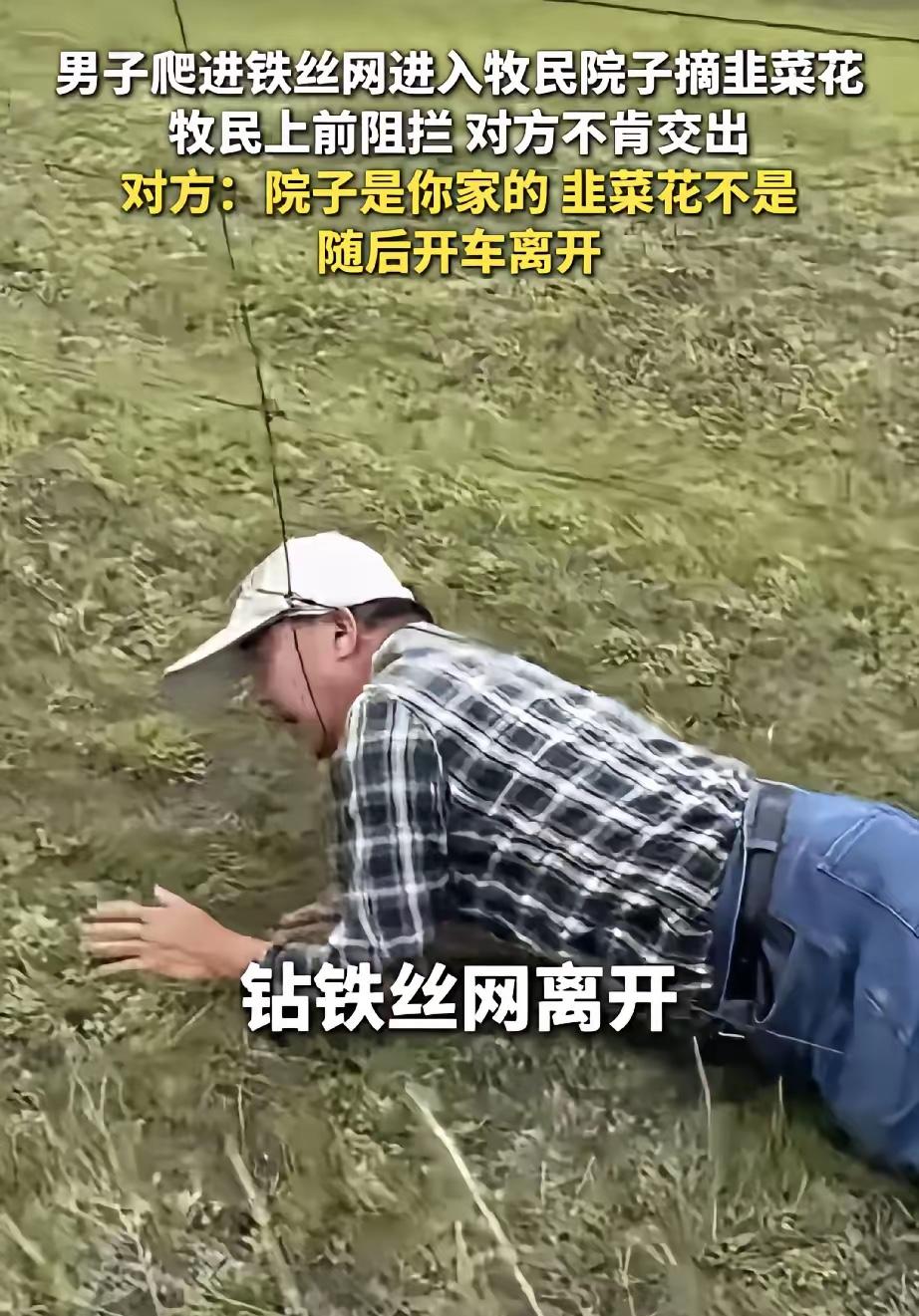 刚看了一个视频，一个老头钻过铁丝网，潜入内蒙呼伦贝尔一位牧民家的草场去摘取韭菜花