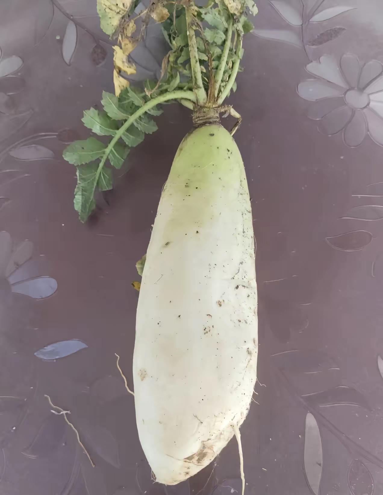 我给大家算个帐，中国种的萝卜，卖给了美国，1元1斤，美国把它加上佐料，制造成萝卜