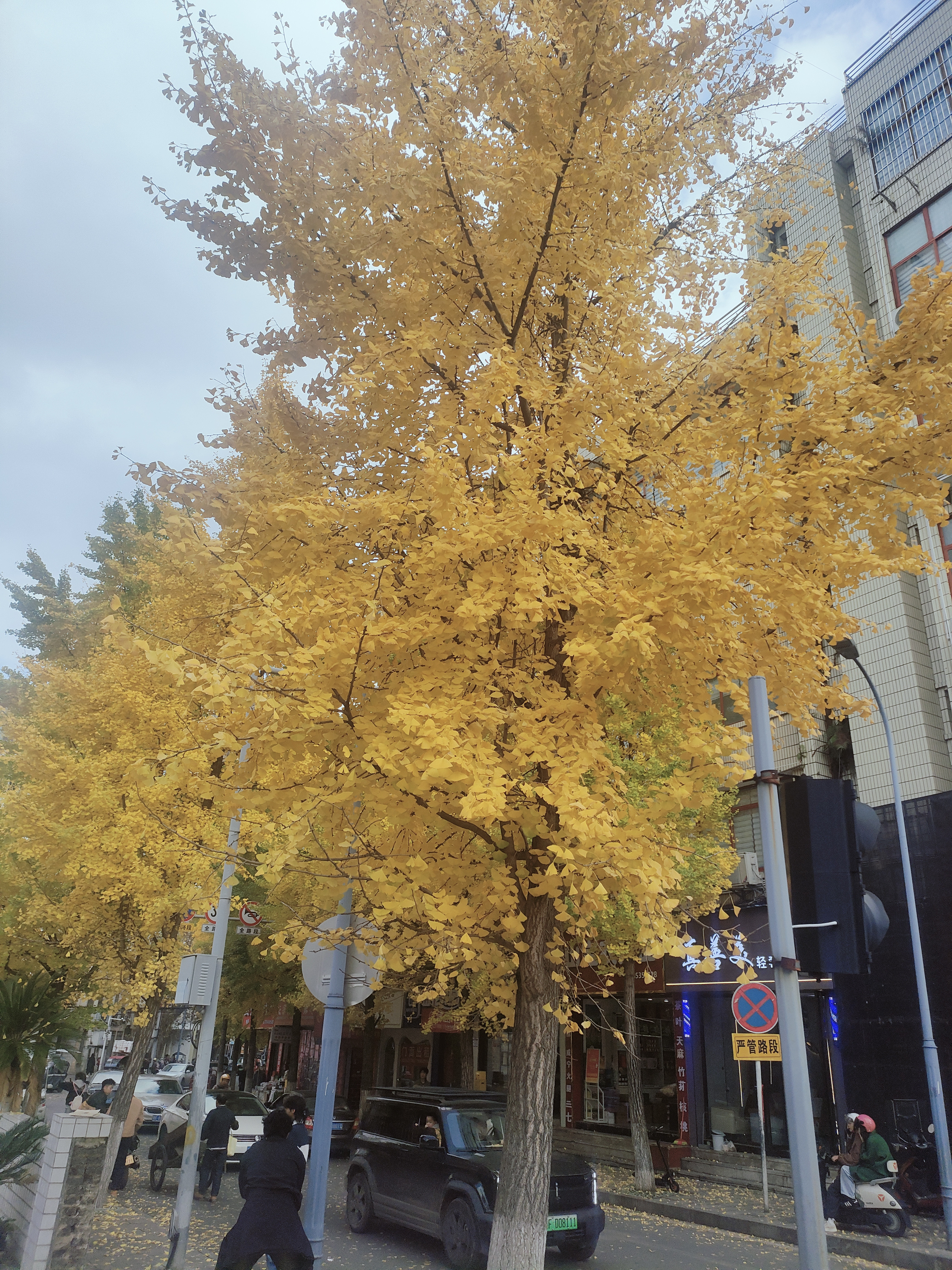 青春活力滑板少女，运动风穿搭，轻松自在！🛹💃🏻你们是多久才学会滑板的