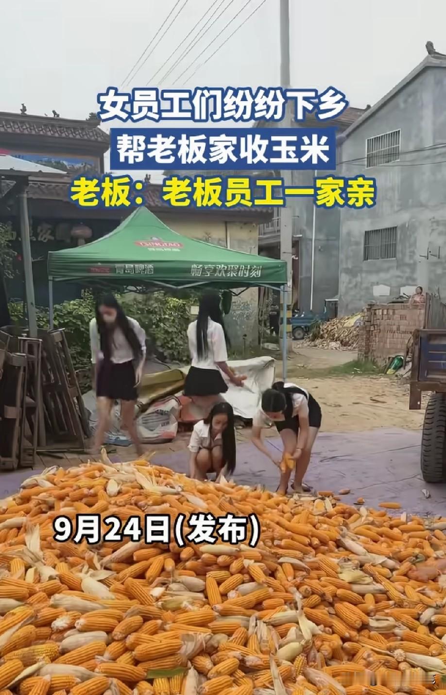 拍得段子吧[捂脸哭]