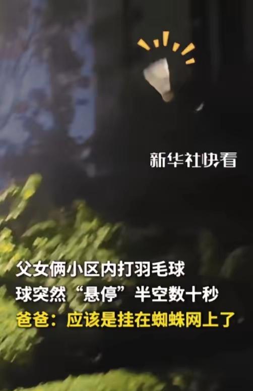离谱！羽毛球居然会悬浮术？长春一小区，父女俩打羽毛球，球被打出去后直接定在
