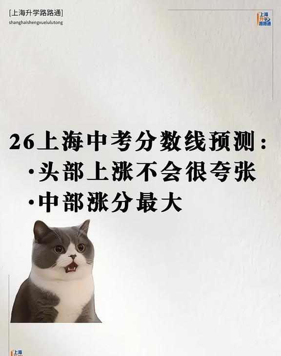 上海中考家长别慌！分数线不会暴涨10分+上海中考刚出分，刷到满屏690+